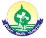 pmhss logo